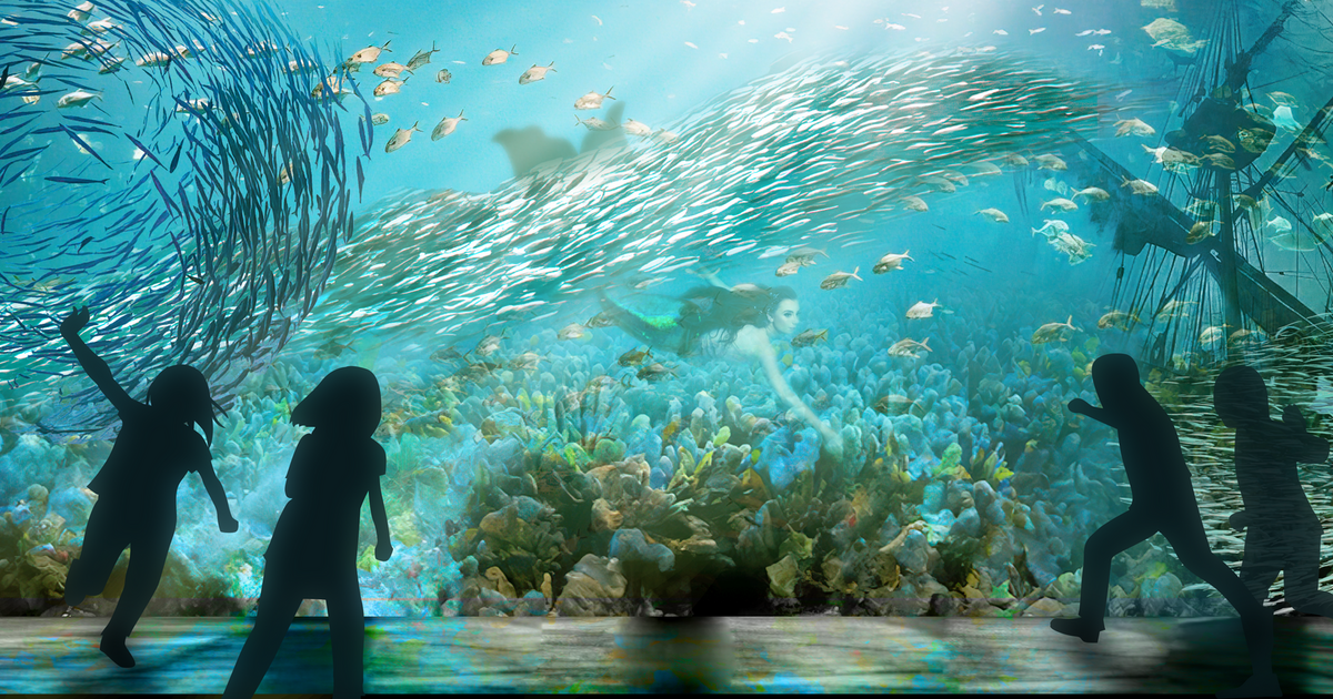 Shipwreck Odyssey – interactive light and movement experience opens at ...